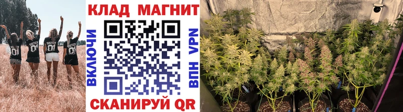 Где купить наркоту Дагестанские Огни Бошки Шишки Мефедрон COCAIN Псилоцибиновые грибы ГАШ