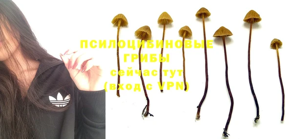 прущая мука Бугульма