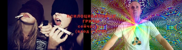 прущие крисы Братск
