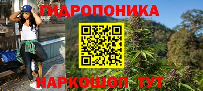 хмурый Гатчина