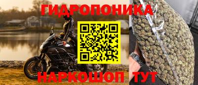 соль ск Бийск