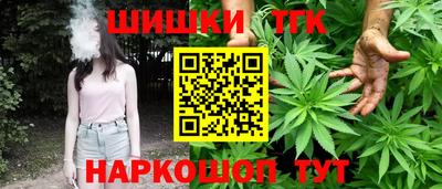 хмурый Гатчина