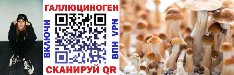 Псилоцибиновые грибы Magic Shrooms  Дагестанские Огни 