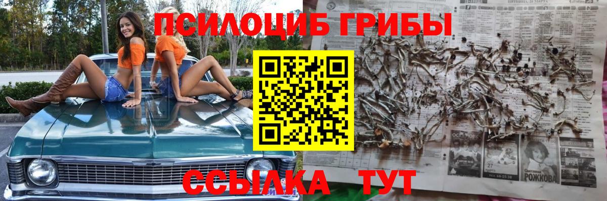 Псилоцибиновые грибы мухоморы Дагестанские Огни