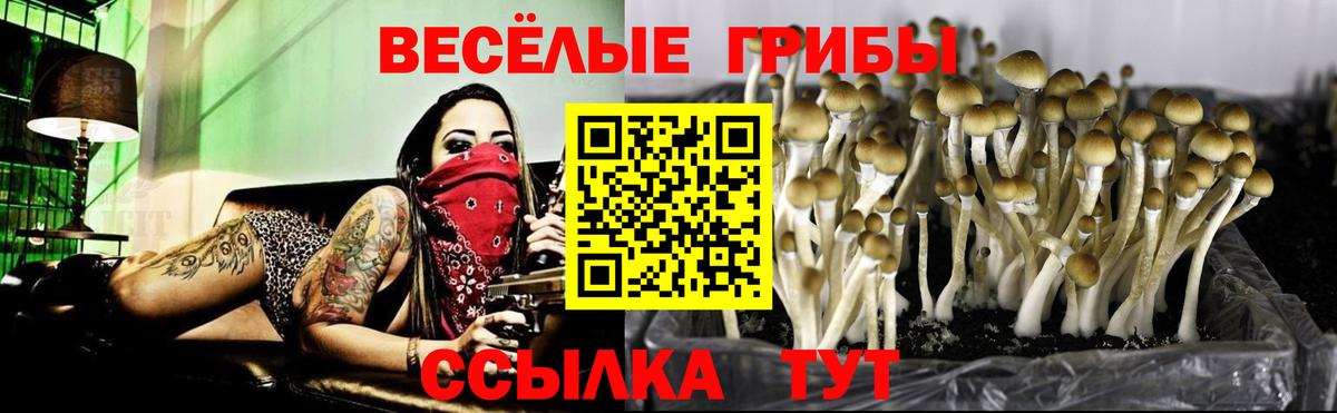 Галлюциногенные грибы Magic Shrooms Дагестанские Огни