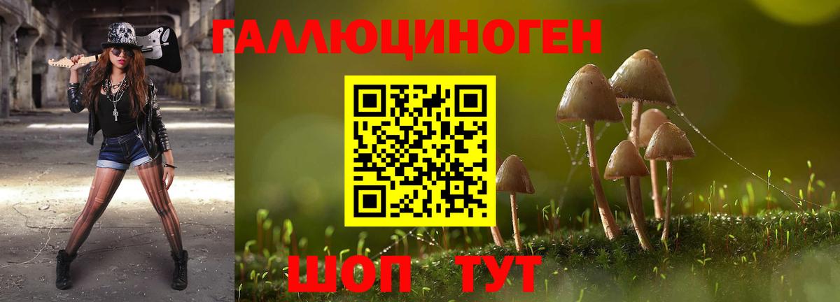 Галлюциногенные грибы мицелий  Дагестанские Огни 