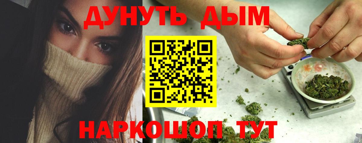 Бошки марихуана Bruce Banner Дагестанские Огни